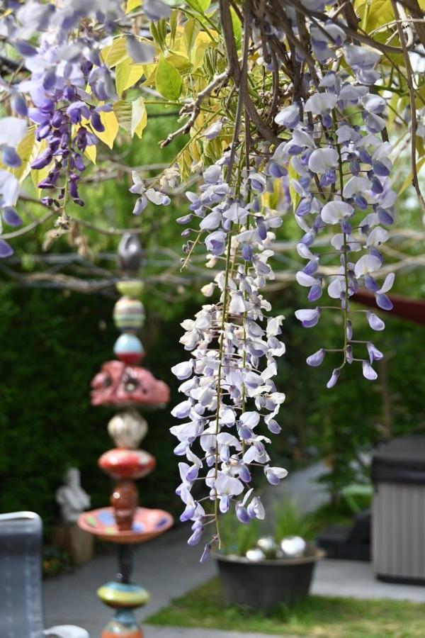 Chillann Bed & Breakfast Denderleeuw Bagian luar foto
