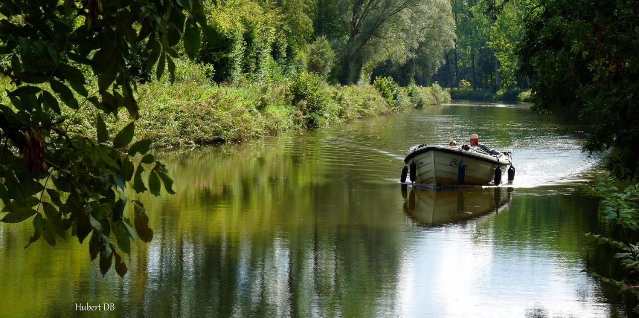Chillann Bed & Breakfast Denderleeuw Bagian luar foto